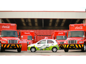 FEMSA