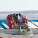 El innovador programa social de Cemex celebra 25 años