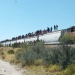 TIP década de éxito, SimpliRoute lidera última milla, Navistar destaca OnCommand® y convención Canacar
