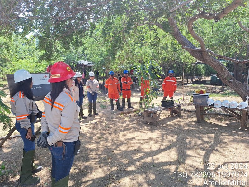 COFOM reconoce avances en reforestación de Las Truchas