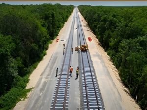 IT-Análisis: Proponen cruces especiales de fauna en vías de trenes