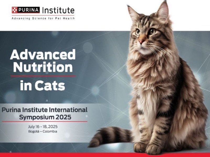 Purina presentará avances tecnológicos en nutrición felina